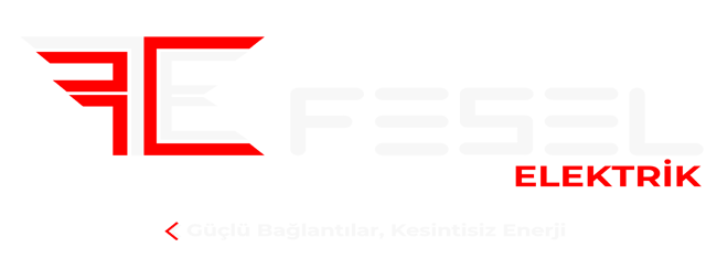 Fesel-Logo-Light
